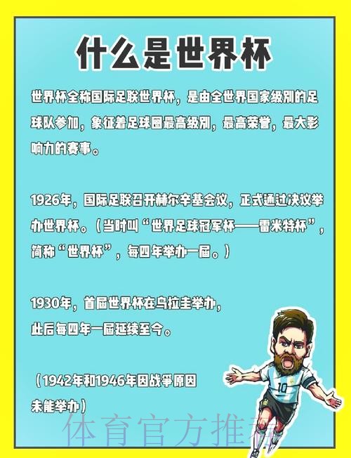 深入解析：世界杯数据预测的奥秘与实践